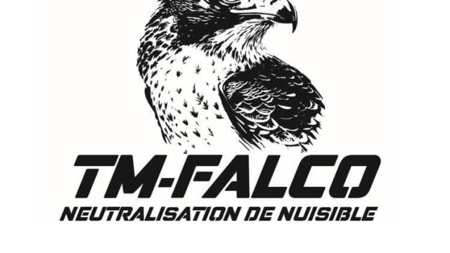TM Falco